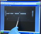 What the apple genome can tell us