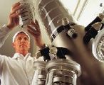 Tatua scientist