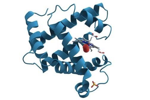 X-ray crystallography of a protein. X-ray crystallography of a protein.