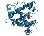 X-ray crystallography of a protein. 