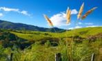New Zealand views on biotech