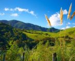 New Zealand views on biotech
